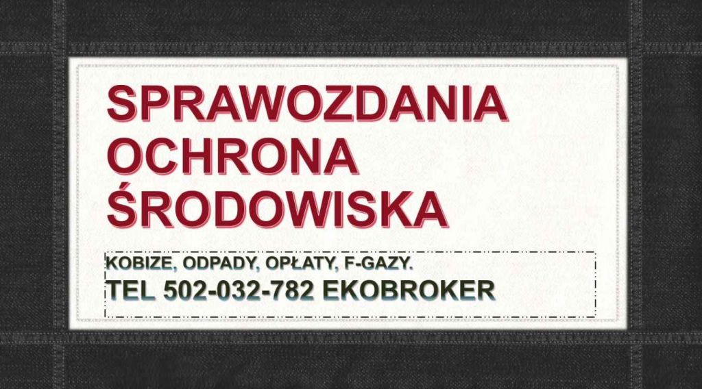 Wykonanie raportu do Kobize, tel. 502-032-782. Raport do kobize, cena Psie Pole - zdjęcie 5