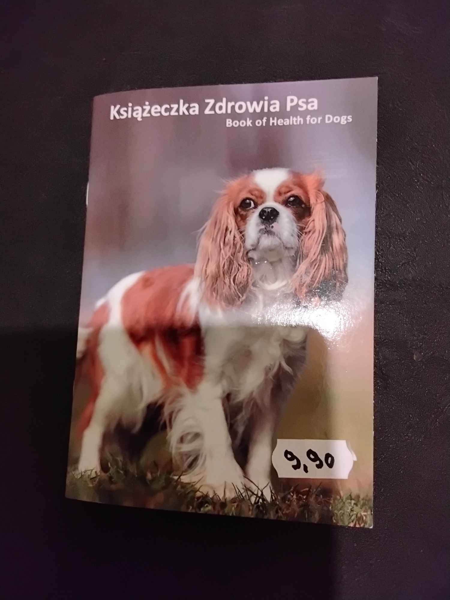 Książeczka zdrowia psa. Katowice - zdjęcie 1