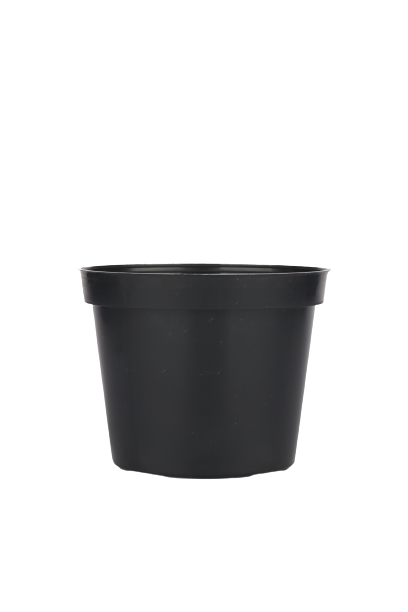 Doniczki produkcyjne fi 10 cm - NOWE / TWARDE Papowo Biskupie - zdjęcie 1