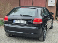 Audi A3 2008, 1.6B 102KM, Bardzo Zadbany, Z Niemiec-Zarejestrowany Radom - zdjęcie 6