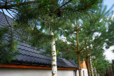 Spokój, natura …piękne okoliczności przyrody Głodowo - zdjęcie 12