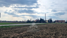 Działka siedliskowa 3000m2 z MPZP gm. Kąty Wrocławskie, Sokolniki Sokolniki - zdjęcie 6