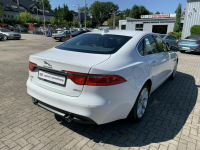 Jaguar XF 2.0d 241 KM Kraków - zdjęcie 6