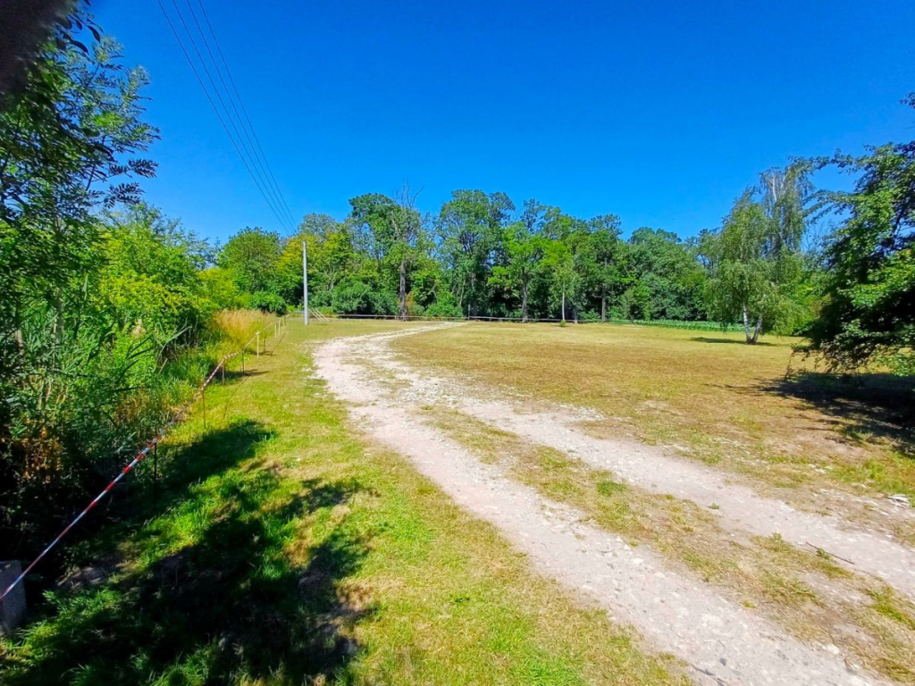 Działka inwestycyjna, usługowa lub mieszkaniowa pr Młodasko - zdjęcie 10