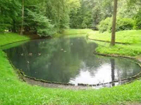 1pok, 33met, Okolice Majchra PIWNICA/blisko AOW (Wrocław) Fabryczna - zdjęcie 11