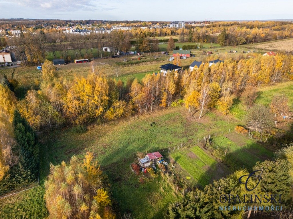 Kameralna okolica | Krakowska | WZ | Zieleń Rzeszów - zdjęcie 2