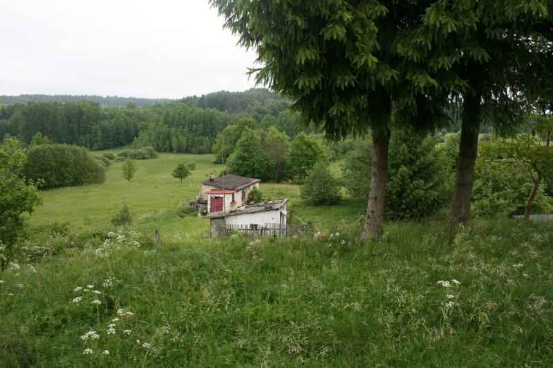 Malowniczo położona działka w lesie w pobliżu jeziora Porost - zdjęcie 3