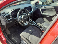 Kia Nowy Ceed 1.5 T-GDI Wersja M Kamera Tempomat LED Salon Pl Bełchatów - zdjęcie 9