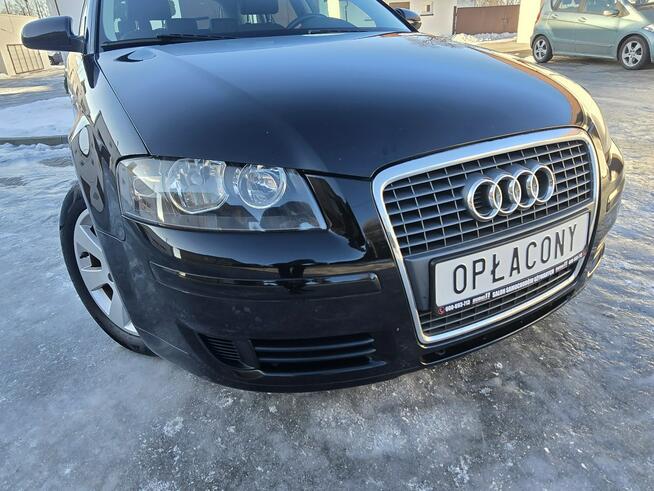 Audi A3 1,6Benzyna.Klimatronic 2 str.Tempomat.Alu.Hak.Serwis Kutno - zdjęcie 5