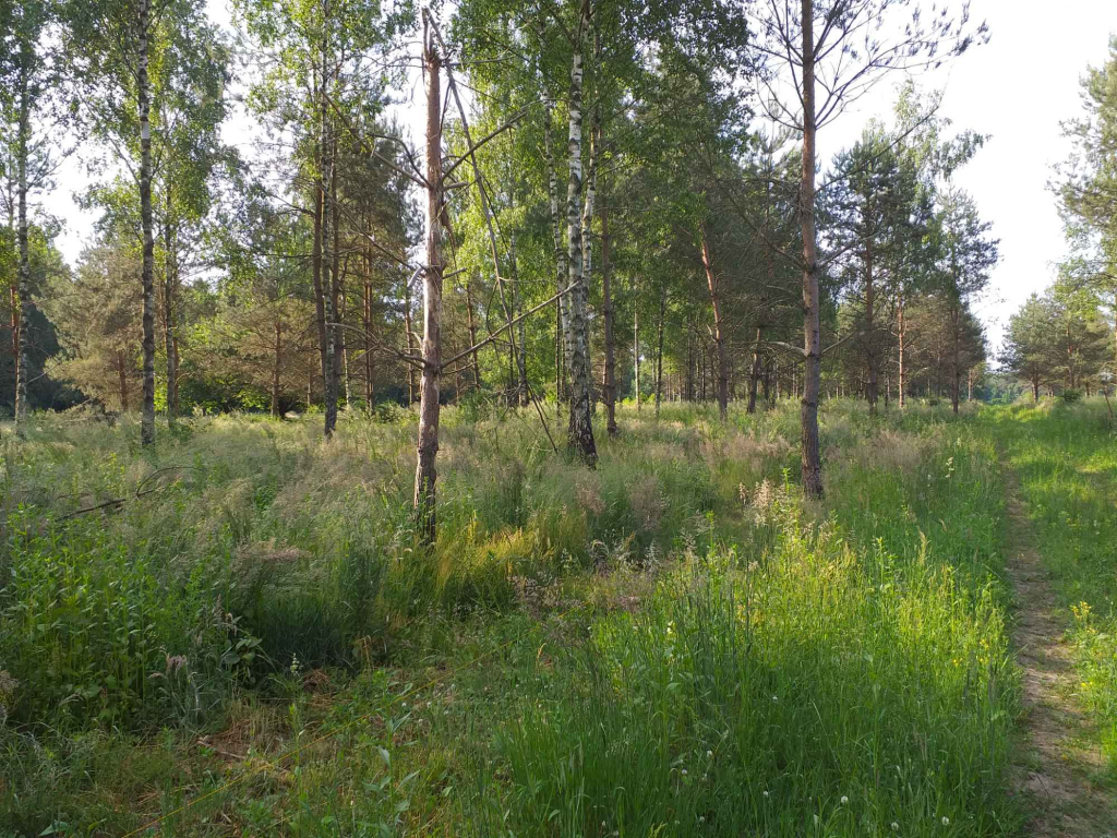 Sprzedam działkę budowlaną Ursynów - zdjęcie 6