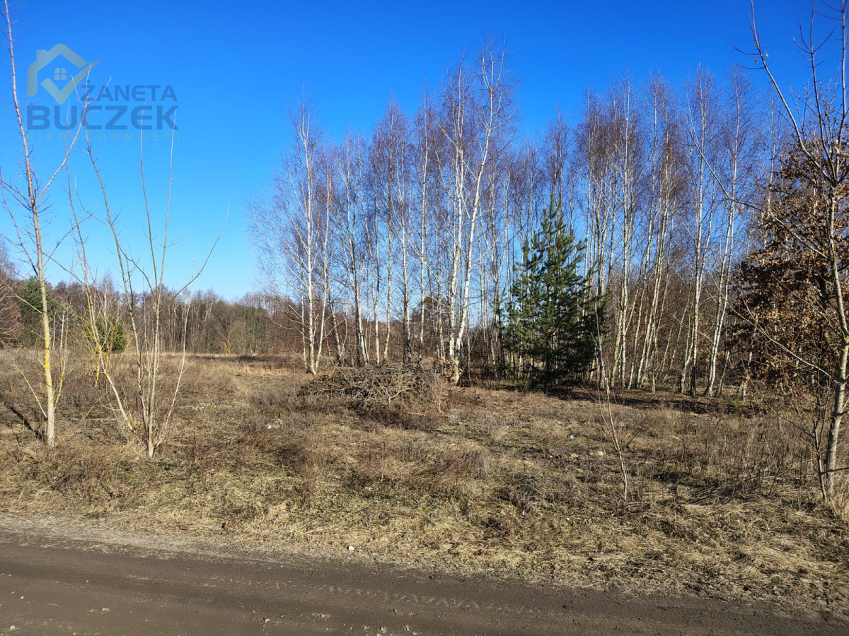 Sprzedam działki budowlane w Nowych Mostkach Nowe Mostki - zdjęcie 3