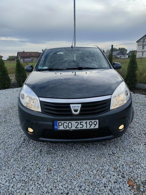 Dacia Sandero Grodzisk Wielkopolski - zdjęcie 3