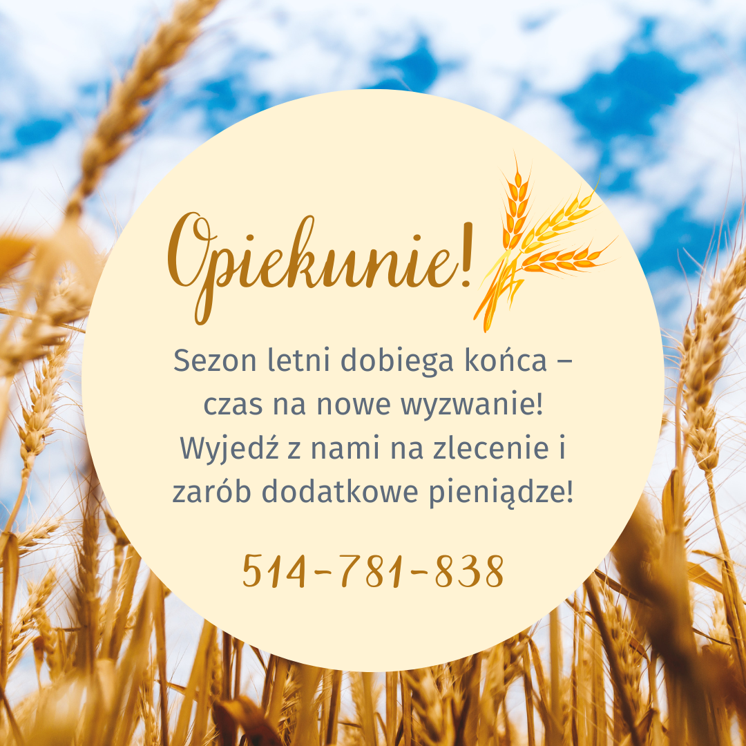 Praca szuka człowieka Piła - zdjęcie 1