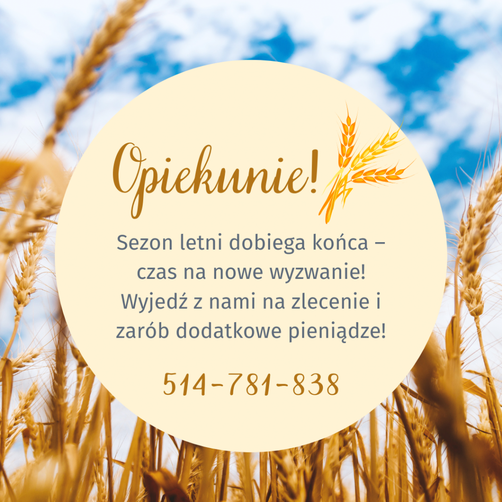 Praca szuka człowieka Piła - zdjęcie 1