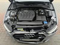 Audi A3 S line quatro Zielona Łąka - zdjęcie 11