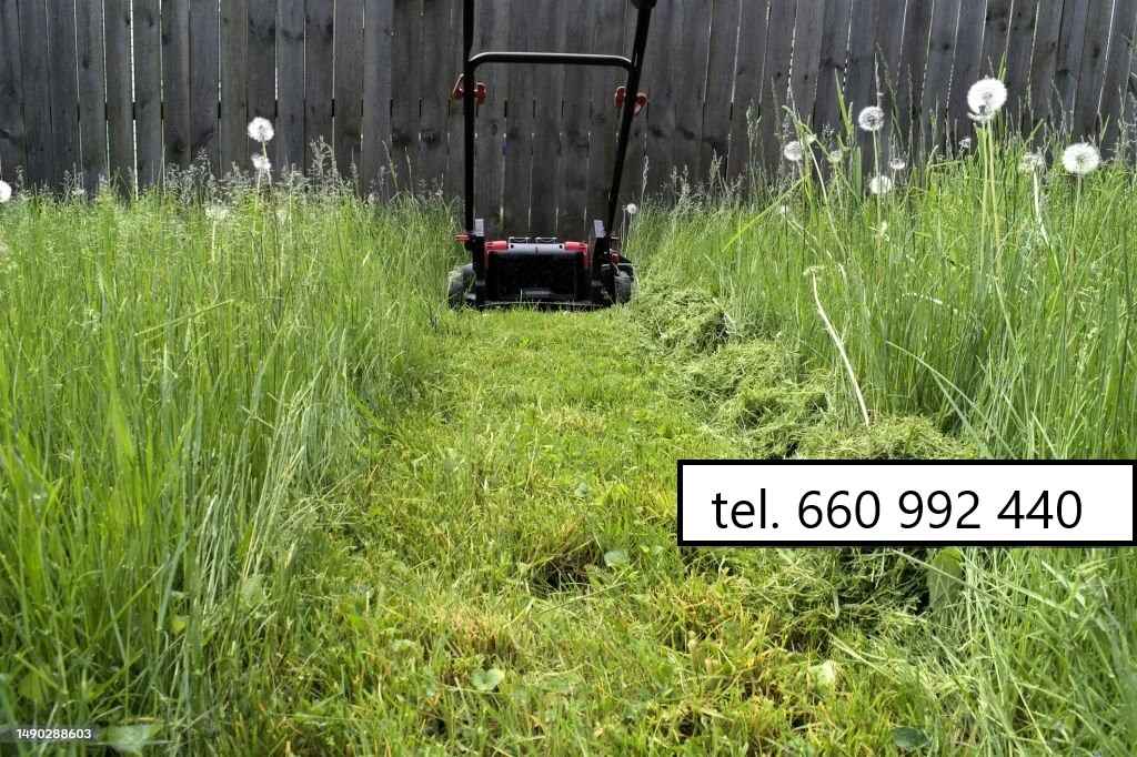 Koszenie trawników, jesienne prace ogrodowe Gdańsk - zdjęcie 6