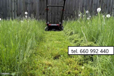 Koszenie trawników, jesienne prace ogrodowe Gdańsk - zdjęcie 6