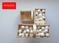 Opakowania do białych pieczarek / białej pieczarki Wielichowo - zdjęcie 5