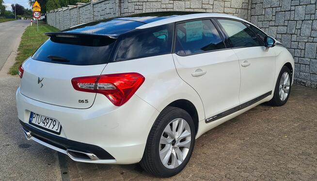 Citroen DS5 Litf 1,6 E-HDI 120 KM Turek - zdjęcie 4