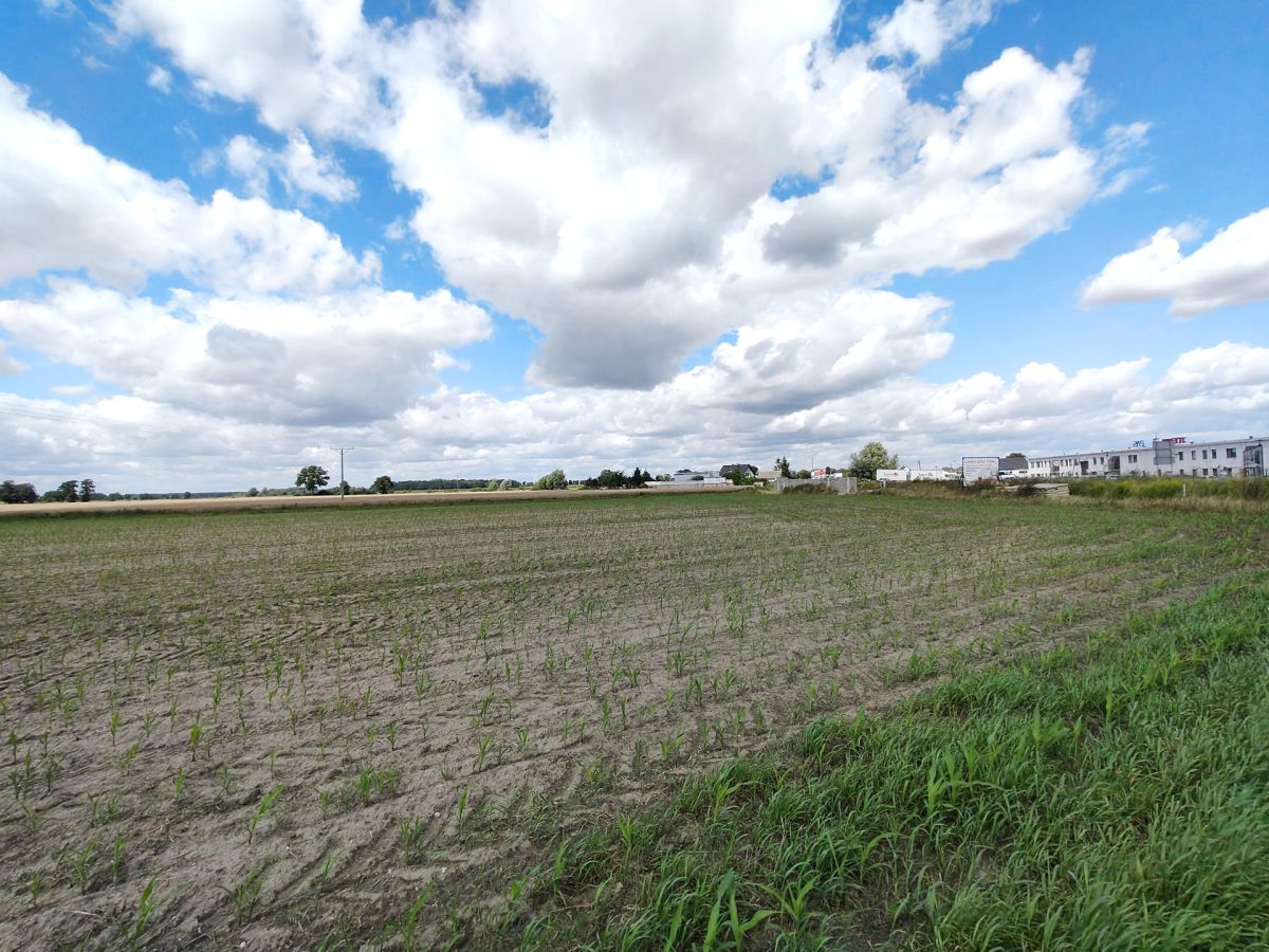 Działka pod osiedle, wielomieszkaniowa. Opalenica - zdjęcie 6