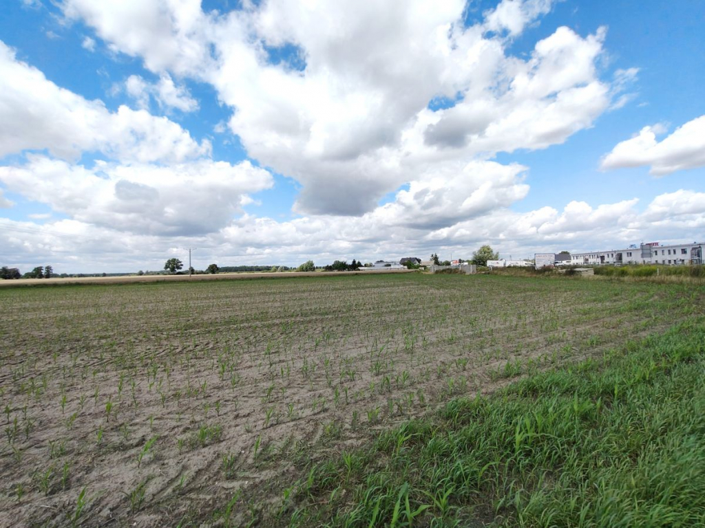 Działka pod osiedle, wielomieszkaniowa. Opalenica - zdjęcie 6