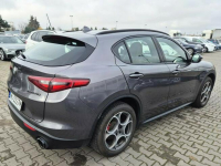 Alfa Romeo Stelvio Komorniki - zdjęcie 6