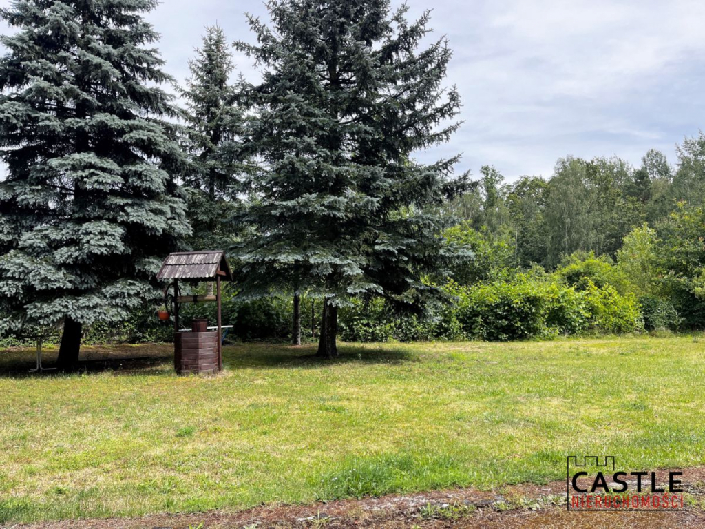 Miejsce na Twój biznes blisko  zachodniej granicy Jabłoniec - zdjęcie 2