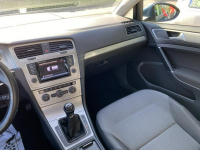 Volkswagen Golf 1.4 benzyna comfortline 140 KM Kobylnica - zdjęcie 11