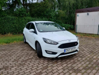 Focus 1.5 150 KM ST-Line Nysa - zdjęcie 7