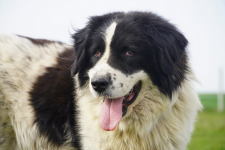 Kacper czeka właśnie na Ciebie!