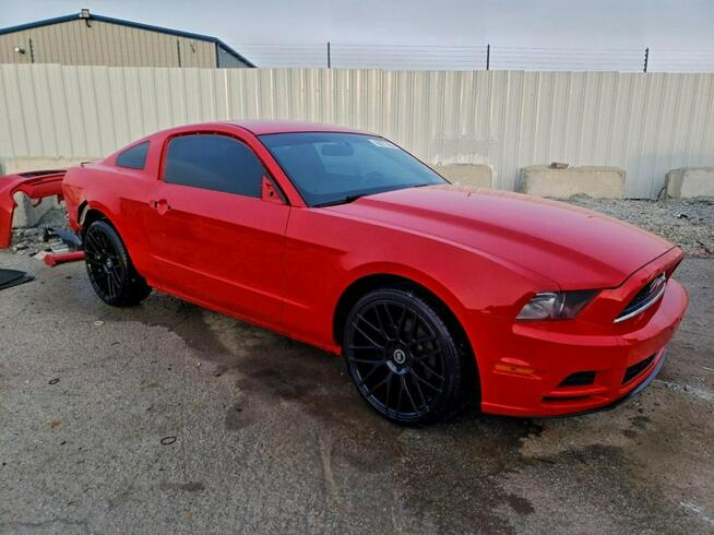 Ford Mustang / 3.7 305KM / Bogate wyposażenie / Niski przebieg / Tarnów - zdjęcie 2