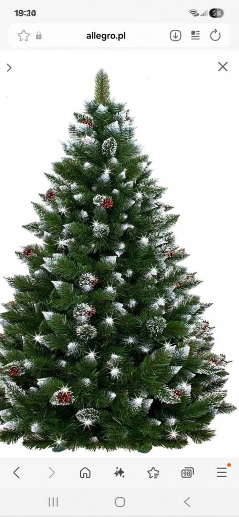 Sprzedam choinke w idealnym stanie 200cm wysoka końcówki ośnieżone Kamionka Wielka - zdjęcie 2