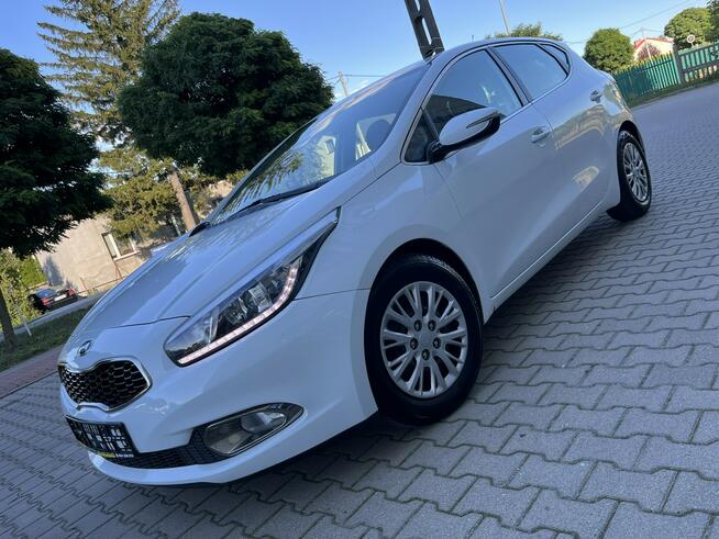 Kia Ceed II 1.6B 2013r Led Nawigacja Biała Perła 5-Drzwi Serwis Klima! Sokołów Podlaski - zdjęcie 1