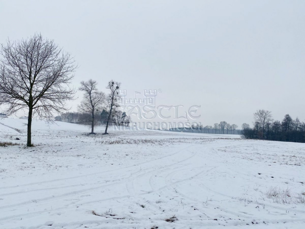 Jezioro, spokój i …..widok jak marzenie!!! Głodowo - zdjęcie 8