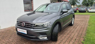 Volkswagen Tiguan Ambilight-Panorama-hak-TDI Paproć - zdjęcie 3
