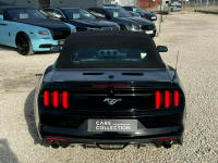 Ford Mustang SYNC 3 / Wentylowane fotele / Key Less / FV marża Michałowice - zdjęcie 5
