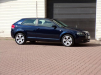 Audi A3 Klimatronic /Gwarancja /1,9 TDI/105KM /2007R  /Lift Mikołów - zdjęcie 11