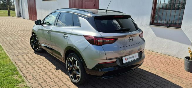 Opel Grandland SALON-BEZWYPADKOWY-BOGATA WERSJA Paproć - zdjęcie 7