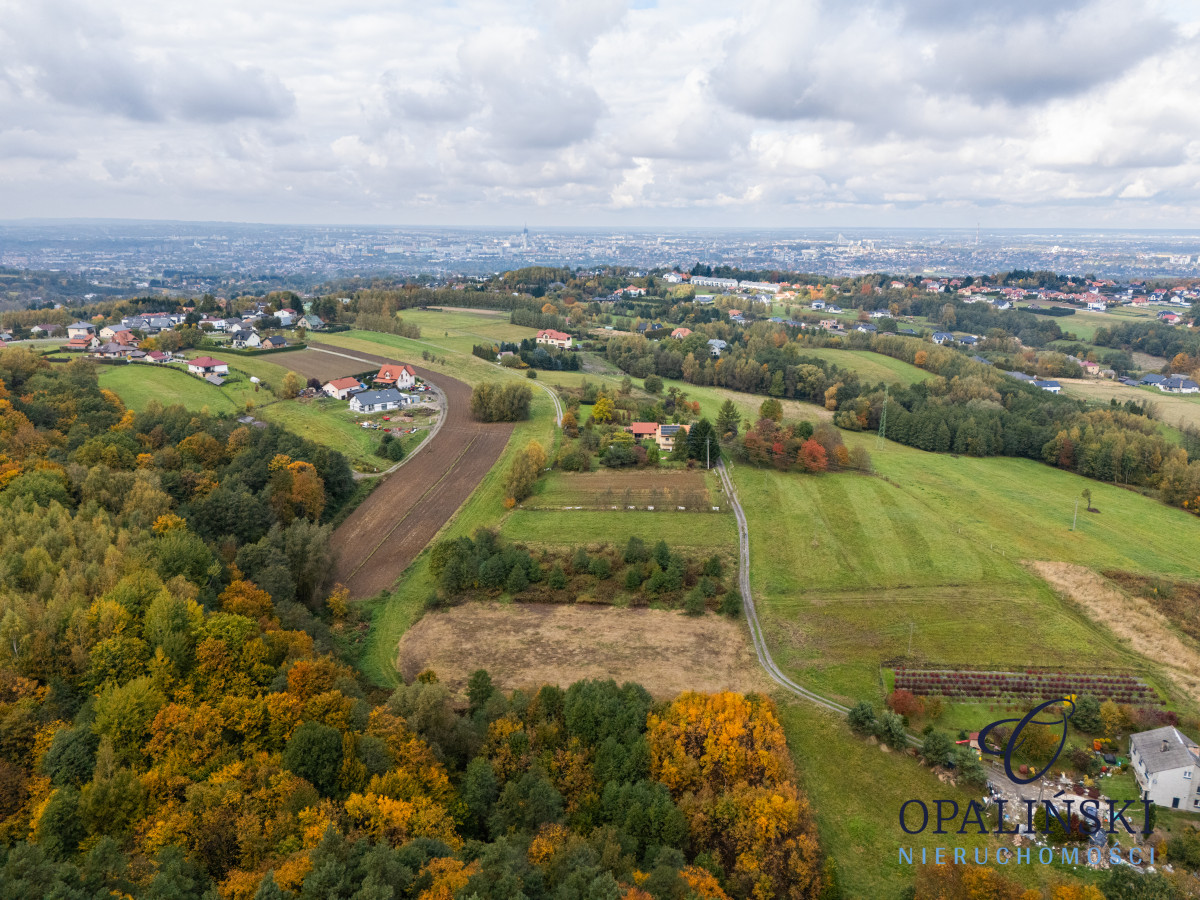 Działka pod lasem 16,80 ar z warunkami zabudowy Rzeszów - zdjęcie 6