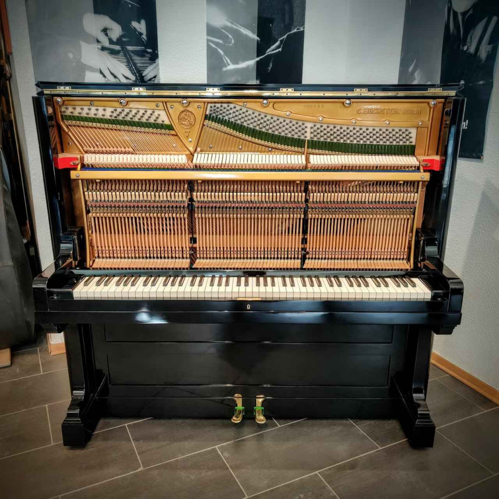 Do rozdania: Wspaniały fortepian C. Bechstein Bemowo - zdjęcie 2