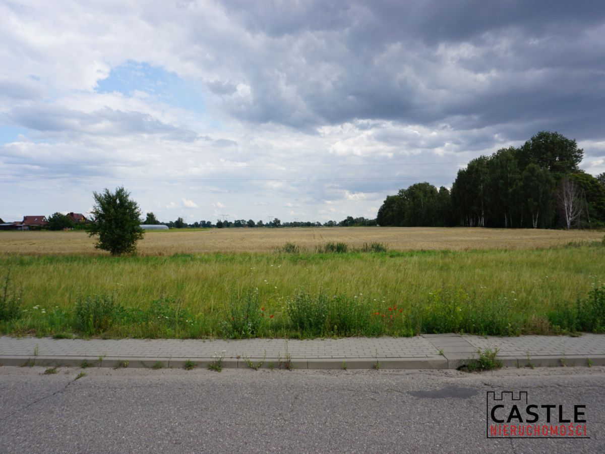 Działka 6303 m² | Bogatka koło Gdańska Bogatka - zdjęcie 9