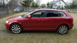 Audi A3 zarejestrowany, ubezpieczony. Gwarancja. Polecam !!! Zielona Góra - zdjęcie 8