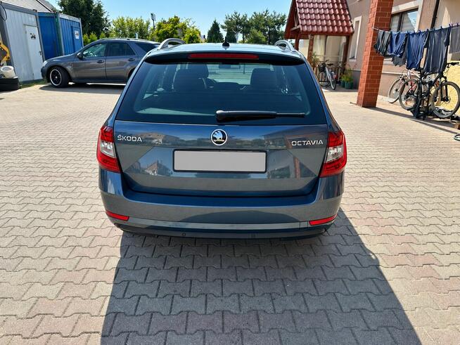 Skoda Octavia 2.0 150KM TDI DSG Soleil Bardzo ładna Brzeg Dolny - zdjęcie 7
