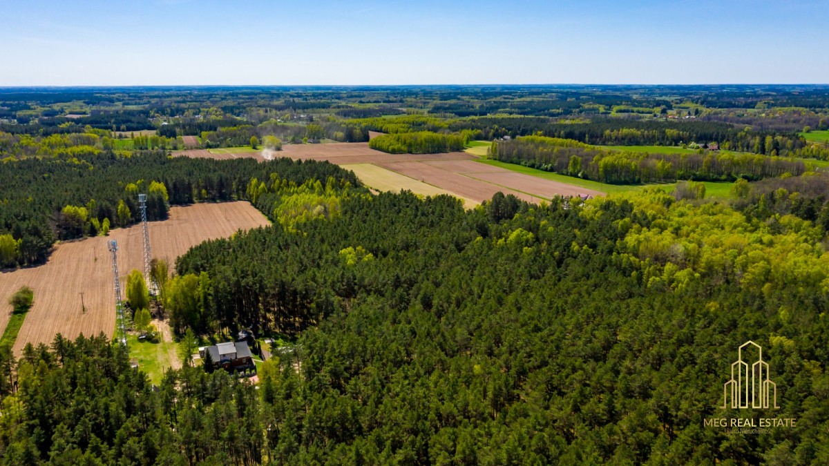 Urokliwa działka w zaciszu lasu w Koźlikach!!! Koźliki - zdjęcie 5
