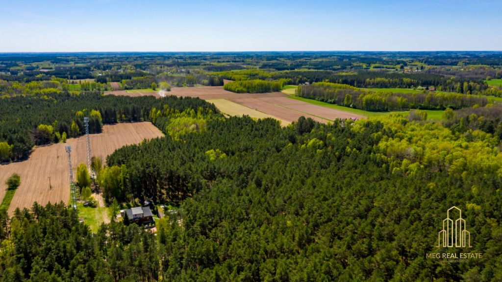Urokliwa działka w zaciszu lasu w Koźlikach!!! Koźliki - zdjęcie 5