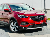 Opel Grandland X 1.2 Start/Stop Business INNOVATION Mikołów - zdjęcie 9
