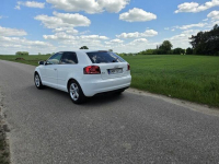 audi a3 1.6tdi/ 2011rok Zambrów - zdjęcie 7