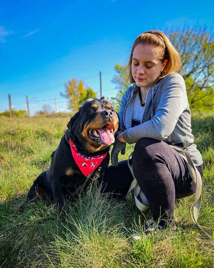 Dostojny, majestatyczny, silny Diego w typie rottweilera szuka domu! Mokotów - zdjęcie 8