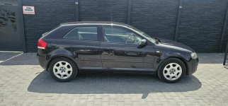 Audi A3 2005r 1.6 Benzyna PIĘKNA z klimatyzacją Brzoza - zdjęcie 3