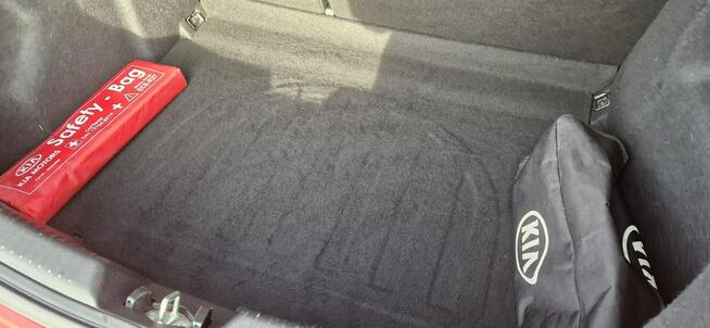 Kia Pro Cee'd Jeden Właściciel Bezwypadkowy 1.4 Płock - zdjęcie 8